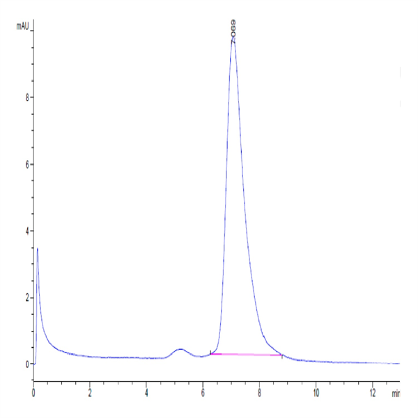 Human CD155/PVR Protein (CD1-HM455)