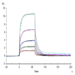 Human CD160 Protein BP005481 Syd Labs