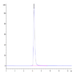 Human CD163 Protein BP005259 Syd Labs