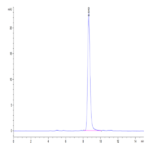 Mouse CD14 Protein BP003753 Syd Labs