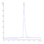 Mouse IL-2 R gamma/CD132 Protein BP004078 Syd Labs