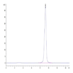 Mouse CD161 Protein BP003678 Syd Labs