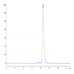Mouse CD163 Protein BP004036 Syd Labs