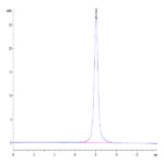 Mouse CD160 Protein BP004708 Syd Labs