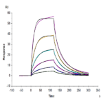 Cynomolgus CD200/OX-2 Protein BP003731 Syd Labs