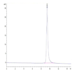 Cynomolgus CD2/SRBC Protein (CD2-CM202)