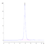 Cynomolgus CD24 Protein BP005245 Syd Labs