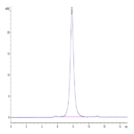 Biotinylated Cynomolgus CD24 Protein BP004354 Syd Labs