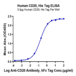 Human CD20/MS4A1 Protein BP005296 Syd Labs