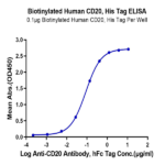 Biotinylated Human CD20/MS4A1 Protein BP005093 Syd Labs