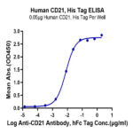 Human CD21 Protein BP004854 Syd Labs