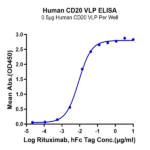 Human CD20 Protein-VLP BP004688 Syd Labs
