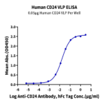 Human CD24 Protein-VLP BP005237 Syd Labs