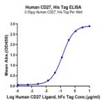 Human CD27/TNFRSF7 Protein BP005326 Syd Labs