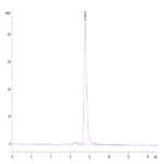 Human CD2/SRBC Protein BP005170 Syd Labs