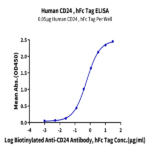 Human CD24 Protein BP005414 Syd Labs