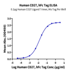 Human CD27/TNFRSF7 Protein BP005787 Syd Labs