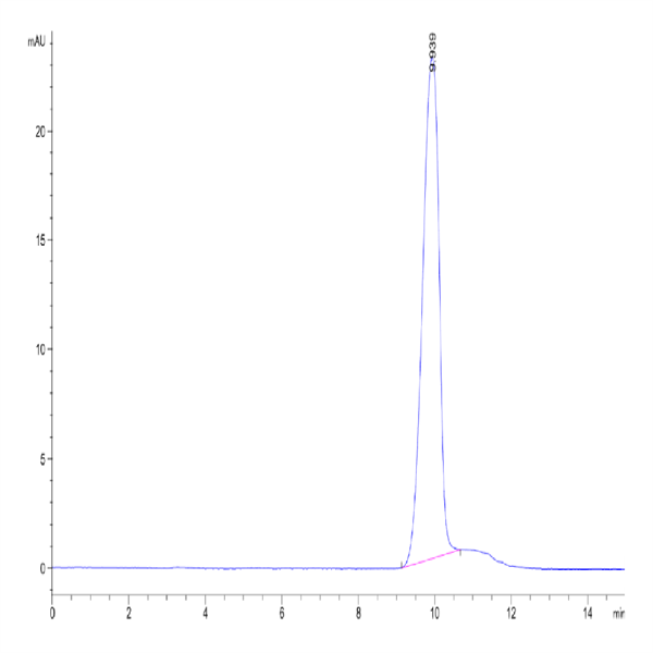 Biotinylated Human CD24 Protein (CD2-HM424B)