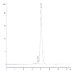Mouse CD21 Protein BP004220 Syd Labs