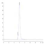Mouse CD24 Protein BP005536 Syd Labs