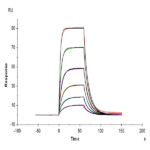 Mouse CD200 R1 Protein BP004002 Syd Labs