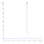 Cynomolgus CD38 Protein BP005150 Syd Labs