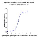 Biotinylated Cynomolgus CD3E/CD3 epsilon 1-27 peptide Protein BP005084 Syd Labs