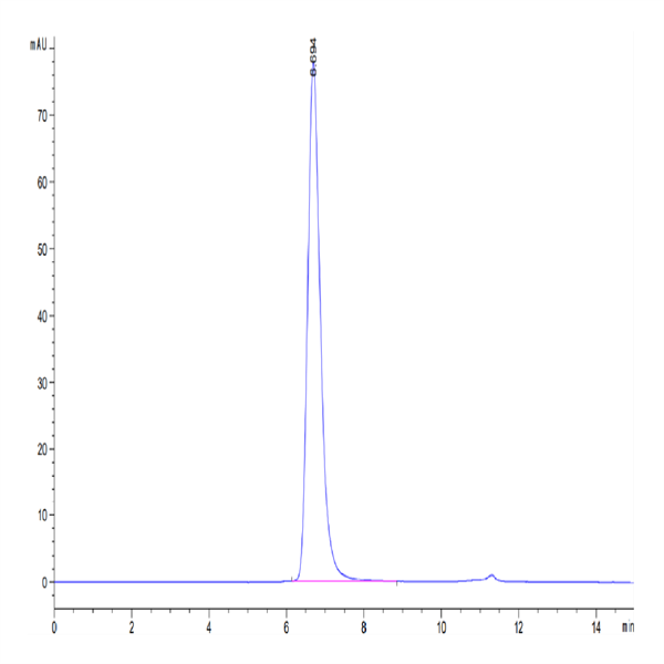 Biotinylated Cynomolgus CD3E/CD3 epsilon 1-27 peptide Protein (CD3-CM2EDB)