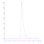 Human CD23/Fc epsilon RII Protein BP005759 Syd Labs