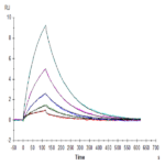 Human CD38 Protein BP005327 Syd Labs