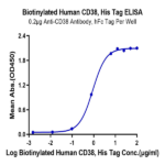 Biotinylated Human CD38 Protein BP003817 Syd Labs