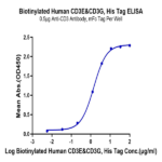 Biotinylated Human CD3E&CD3G/CD3 epsilon&CD3 gamma Protein BP003853 Syd Labs