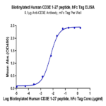 Biotinylated Human CD3E/CD3 epsilon 1-27 peptide Protein BP005081 Syd Labs