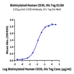 Biotinylated Human CD30/TNFRSF8 Protein BP005473 Syd Labs
