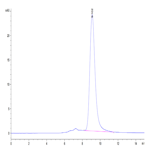 Human Siglec-3/CD33 Protein (CD3-HM433)