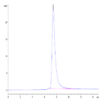 Mouse CD38 Protein BP005080 Syd Labs