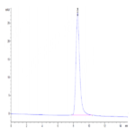 Mouse CD39/ENTPD1 Protein BP003928 Syd Labs