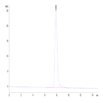 Canine CD46 Protein BP003878 Syd Labs