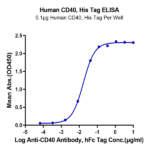 Human CD40/TNFRSF5 Protein BP005370 Syd Labs