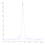 Mouse CD43 Protein BP004776 Syd Labs