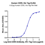 Human CD55 Protein BP004383 Syd Labs