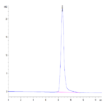 Human CD52 Protein BP004796 Syd Labs