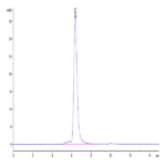 Human CD52 Protein BP005485 Syd Labs