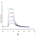 Human IL-2 R alpha/CD25 Protein BP005391 Syd Labs