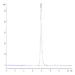Mouse CD5 Protein BP004919 Syd Labs