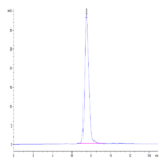 Mouse CD55 Protein BP004393 Syd Labs