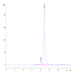 Mouse CD5L Protein BP004744 Syd Labs