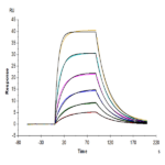 Mouse IL-2 R alpha/CD25 Protein BP003734 Syd Labs