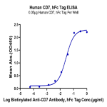 Human CD7 Protein BP003651 Syd Labs