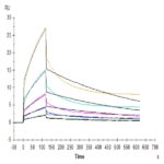 Human CD47 Protein BP005367 Syd Labs